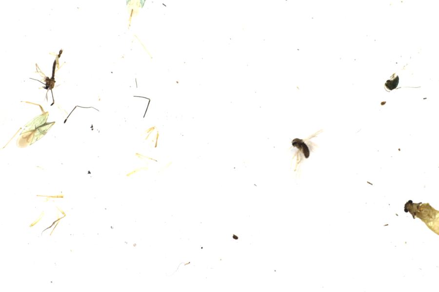 Image 22